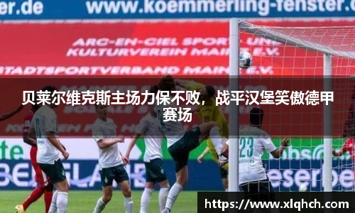 bifa必发