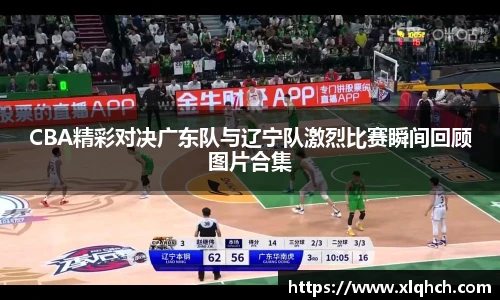 必发bifa官网入口