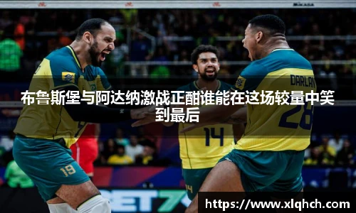 bifa必发登录
