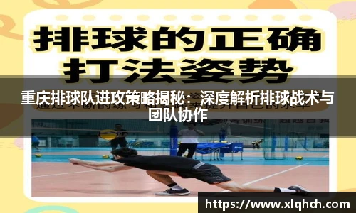 今年会官方网站